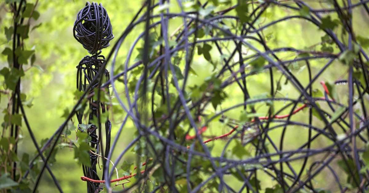 the future of anthropology starts from within