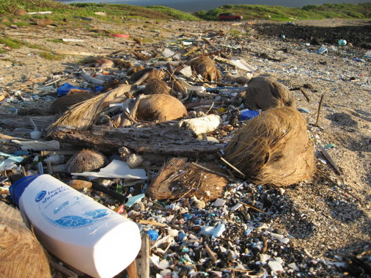 Materiality | Society for Cultural Anthropology