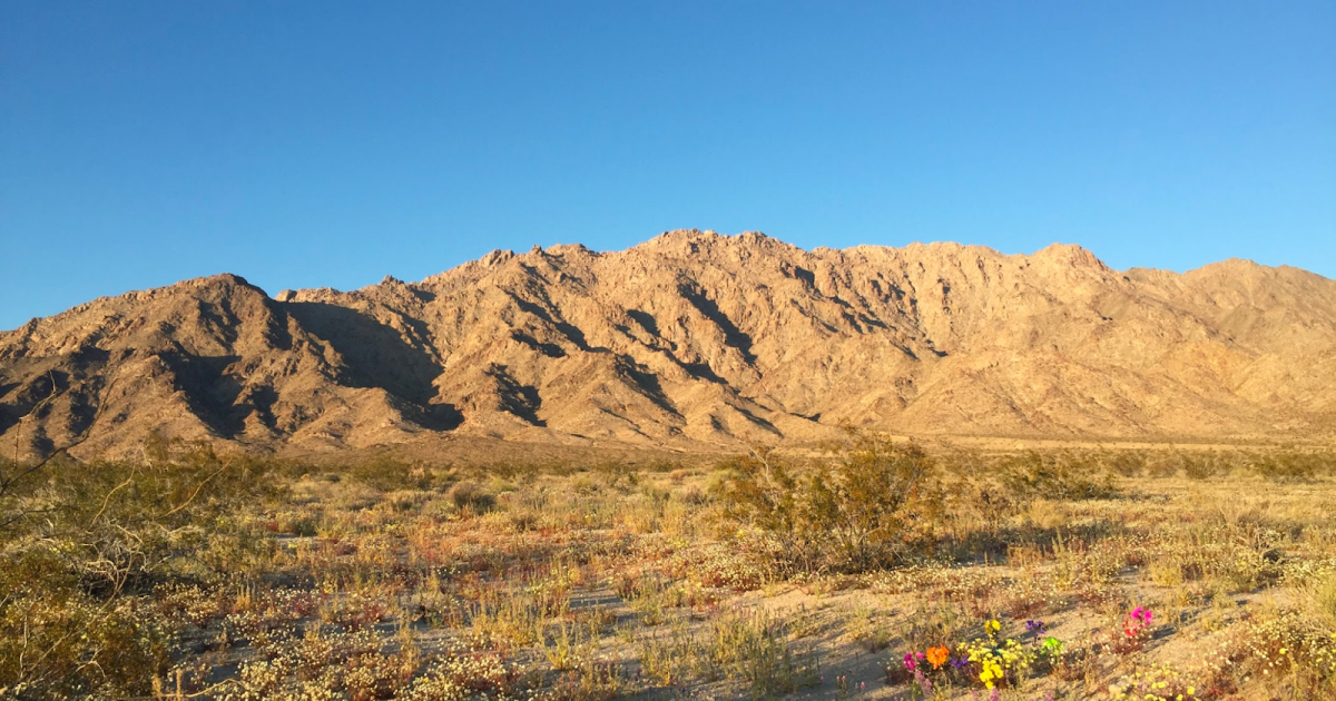 Erasure as Repair A Speculative Poetics of the Archive Society for