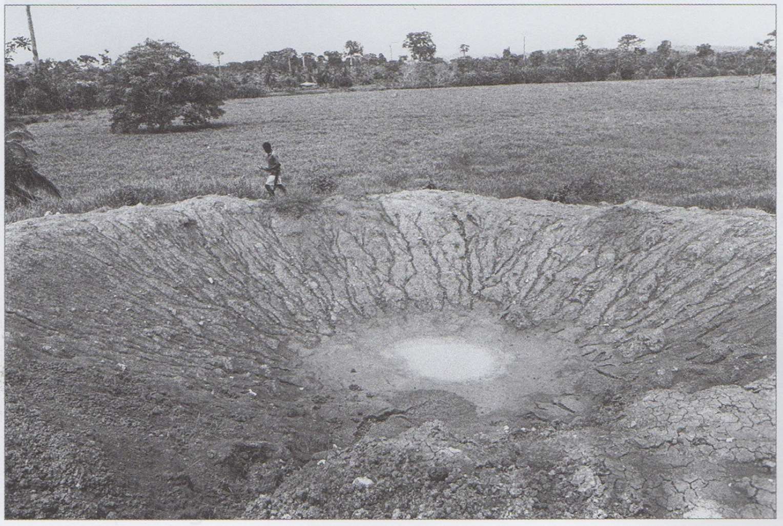 Provincializing Sentience, Tuning More-than-Human Memory | Society for ...