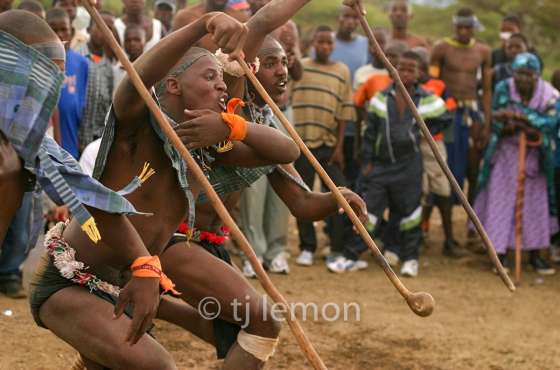Bateson Book Forum: Dust of the Zulu