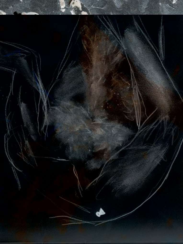 George Bullerman Debris n-1: Visualizing a Bullerman Erotics | Society for Cultural ...